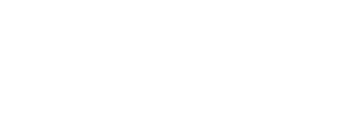 VATSIM